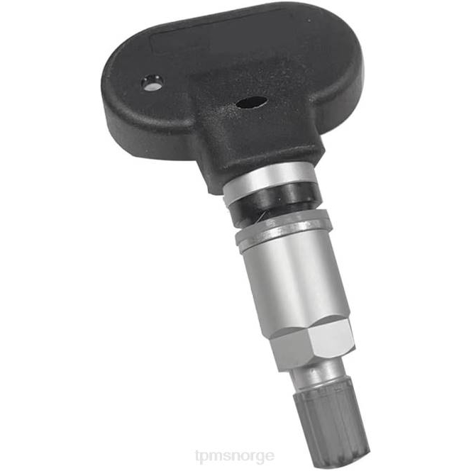 tpms lufeng dekktrykksensor e23806020a NL881296 Dekktrykksensor Tesla |